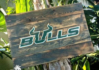 Bulls Flag