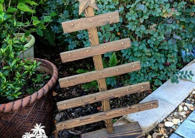 Christmas Tree Advent