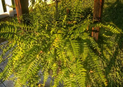 Hanging Plant Stand 4