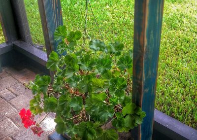 Hanging Plant Stand Blue