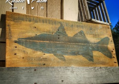 Snook Sign